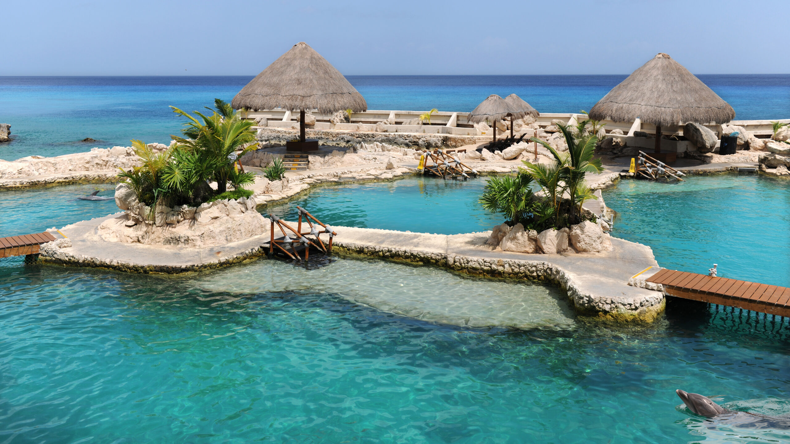 cozumel_desktop