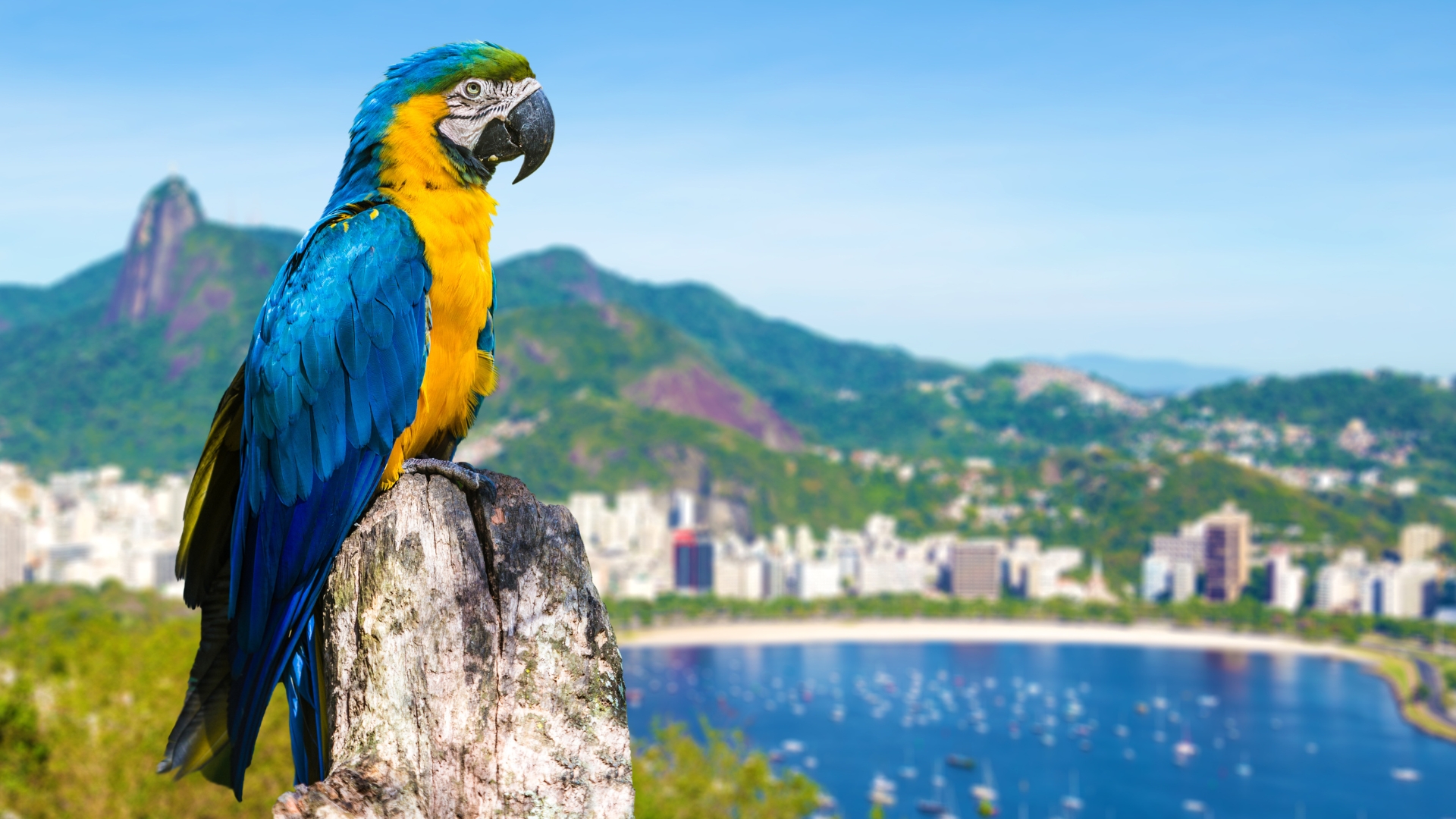 ESCRITORIO_RIO_2025