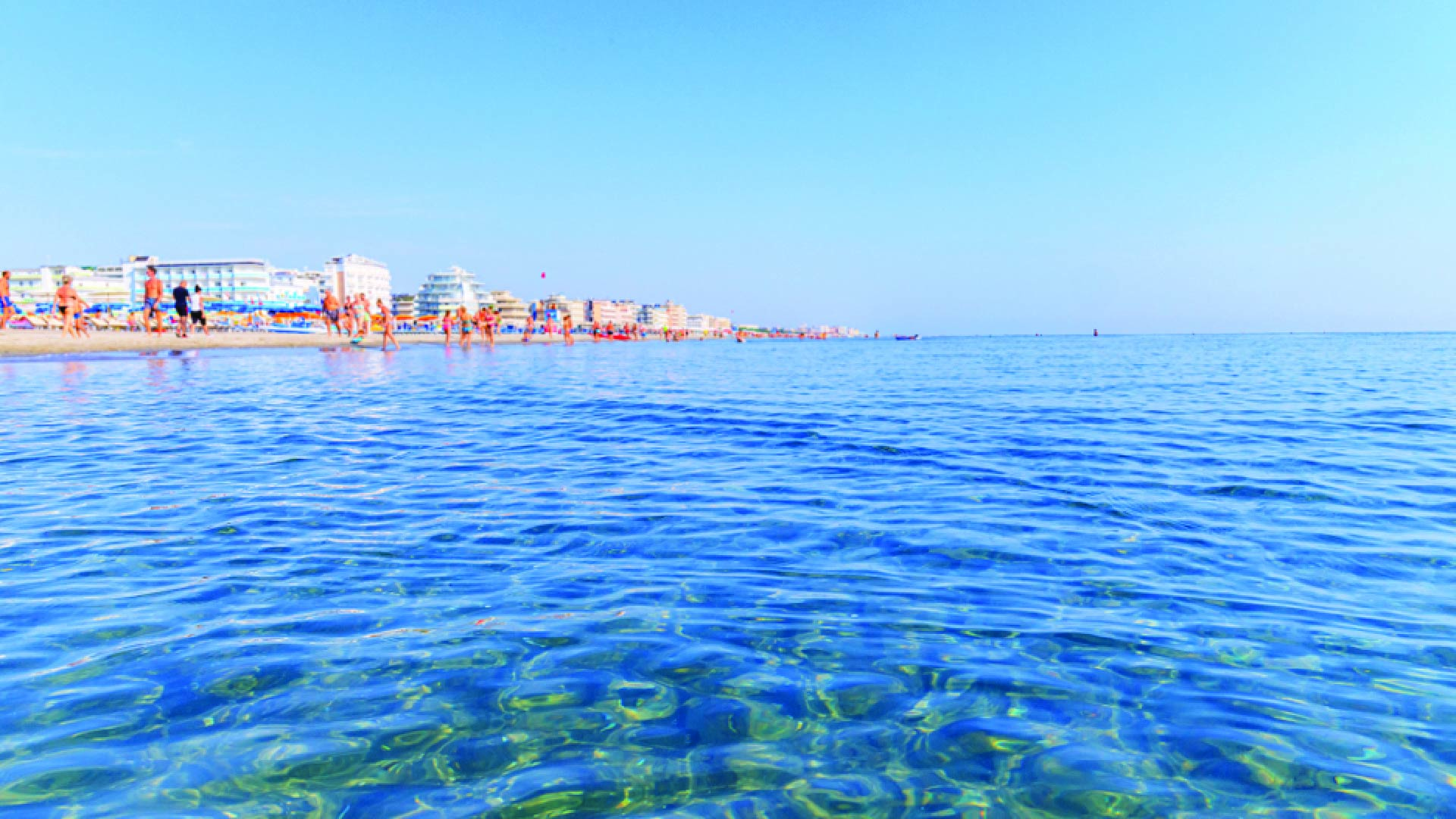 BANNER DESKTOP CATTOLICA